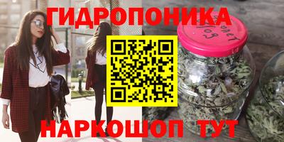 jwh Моздок