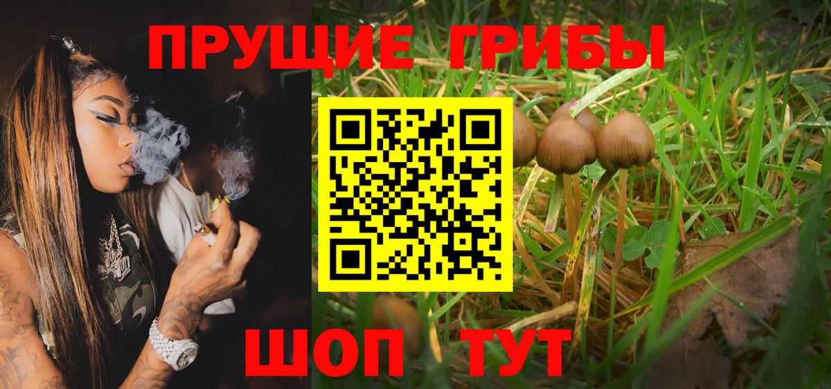 Псилоцибиновые грибы MAGIC MUSHROOMS  продажа наркотиков  Чебаркуль  Вход с VPN 